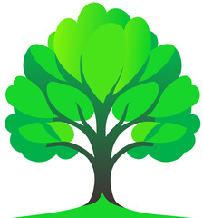 Wall Mural - tree with green leaves