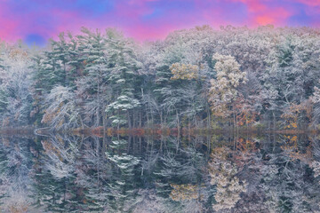 Wall Mural - Autumn landscape at dawn of the shoreline of Long Lake flocked with snow and with mirrored reflections in calm water, Yankee Springs State Park, Michigan, USA
