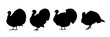 Set of turkey silhouette - vector illustration