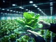 Iot smart farming agriculture in industry 4.0 technology with artificial intelligence and machine learning concept