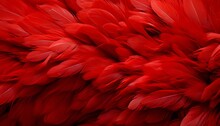 Detailed Digital Art Red Feather Texture Background With Captivating Large Bird Feathers