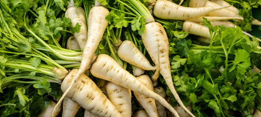 Poster - Heap of parley or parsnip roots with green leaves, closeup detail. Generative AI