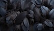 Detailed black feathers texture background  high resolution digital art with large bird feathers