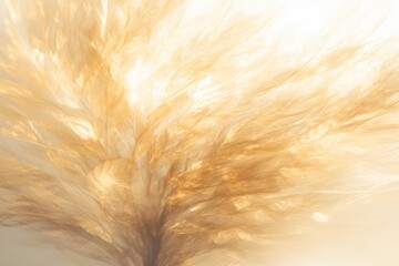 Wall Mural - Ethereal golden feathers background, glowing light shines through, light and airy design