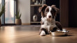A dog eagerly sits beside its food bowl in the cozy home