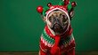 A pug dog wearing a festive Christmas sweater and hat with red bulbs, looking at the camera with a humorous expression against a solid green background.