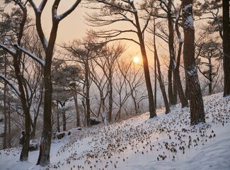 Sticker - Snowy forest in winter at golden sunset. Colorful landscape with pine trees in snow, orange sky in evening. Snowfall in woods. Wintry woodland. Snow covered mountain forest at dusk.