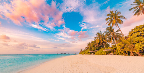 Wall Mural - amazing tropical sea beach serene sky sand sunset light. relax paradise horizon coco palm trees and 