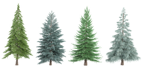 Jungle Fir,Spruce,Pine trees shapes cutout 3d render set
