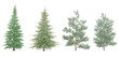 Deodar cedar,Spruce,Pinus sylvestris trees with transparent background, 3D rendering, for illustration, digital composition, architecture visualization