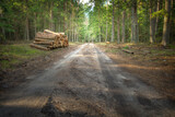 Fototapeta Las - Landscape autumn road with colourful trees, autumn Poland, Europe and amazing blue sky with clouds, sunny day, logs of cut wood stacked, lumber industry