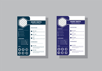 Modern resume vector template for digital