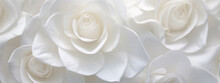 Delicate Floral Close-up Rose Petals,.