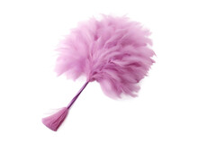 Feather Broom Isolated On A Transparent And White Background