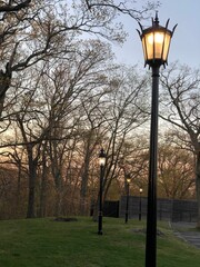 Poster - Street lamp post in a grassy park area, surrounded by lush trees