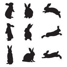 Collection Of Rabbit Silhouettes In Various Poses. Bunny Silhouette
