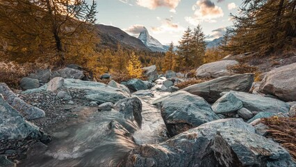 Wall Mural - Landscape of Matterhorn iconic mountain on golden pine forest and water flowing in the evening at Zermatt, Switzerland