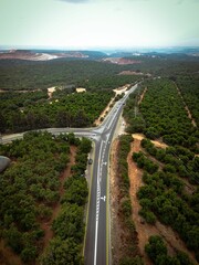 Wall Mural - Aerial view of a highway in a green landscape