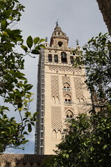 Wall Mural - mosque–cathedral, córdoba, andalusia