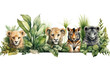 Jungle Animal Watercolor Set