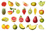 Exotic Fruits Set