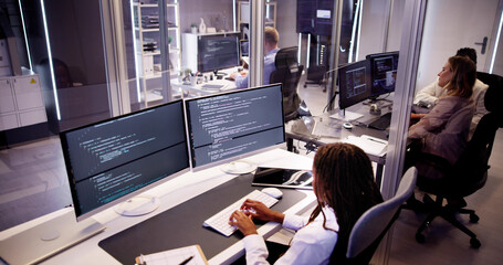 Poster - Software Programmer Or Coder Woman