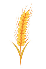 Wheat Crop Vector Visual Graphic Icons, Ideal For Bread Packaging, Beer Labels Etc.