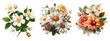 bouquet of flowers isolated on transparent background