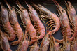 Large langoustine king shrimp on a dark horizontal background.
