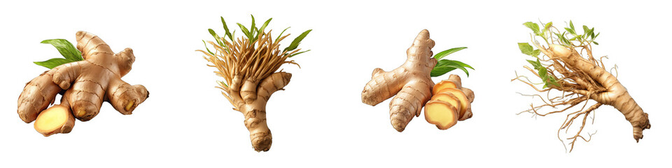 Wall Mural - Ginger root  Hyperrealistic Highly Detailed Isolated On Transparent Background Png File