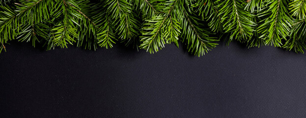 Poster - Christmas fir tree on black background