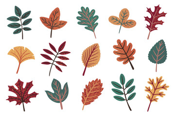  Fall leaves. Closeup season leaf, yellow orange and green leraves, bright autumn trees. Maple oak and chestnut foliage. Decorative elements collection. Vector cartoon flat illustration