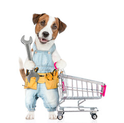 Poster - Funny Jack russell terrier puppy wearing overalls with tool belt holding the wrench and pushing the shopping cart. isolated on white background