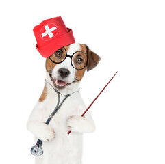 Poster - Smart jack russell terrier puppy wearing like a doctor with stethoscope on his neck pointing away on empty space. isolated on white background