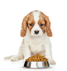 Aufkleber - Cavalier King Charles Spaniel puppy sits with bowl of dry food. isolated on white background