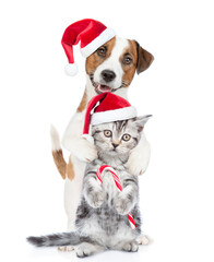 Poster - Happy Jack russell terrier puppy and funny cute kitten wearing santa hats standing together. Cat holds candy cane. isolated on white background