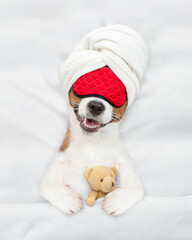 Poster - jack russell terrier puppy wearing towel on it head and sleeping mask sleeps with toy bear under white blanket on a bed at home. Top down view