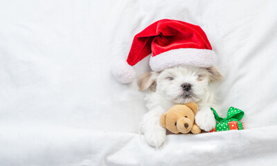 Canvas Print - Tiny Maltese puppy wearing red santa hat sleeps with gift box and hugs toy bear under white blanket on a bed at home. Top down view. Empty space for text