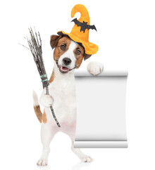Poster - Funny Jack russell terrier puppy wearing hat for halloween holds witches broom stick and shows empty list. isolated on white background