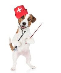 Poster - Funny jack russell terrier puppy wearing like a doctor with stethoscope on his neck pointing away on empty space. isolated on white background