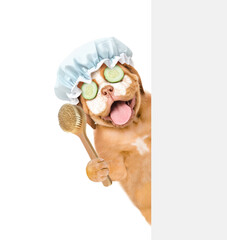 Poster - Happy Mastiff puppy wearing shower cap with pieces of cucumber on it eyes and with cream on it face holds shower brush behind empty white banner. isolated on white background