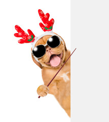 Poster - Happy Mastiff puppy dressed like santa claus reindeer  Rudolf looking from behind empty white banner and points away on empty space. Isolated on white background
