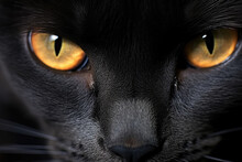 Very Close Up Photo Of Black Cat With Yellow Eyes