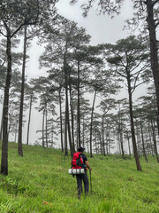 asian young man is trekking on green grass field mountain with t