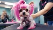 © Nick Alias - Cute, funny Yorkshire Terrier dog with an original haircut and a pink tuft of fur on its head