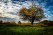 Jesienny krajobraz.Strużnica wieś w Polsce, położona w województwie dolnośląskim w Rudawach Janowickich.