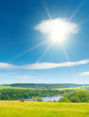 Wall Mural - summer pasture with fresh grass and blue sky with sun.