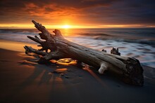 Relaxing Coastal Scenery With Driftwood Log By Sunset. Generative AI