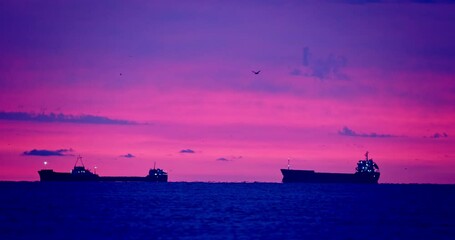 Wall Mural - Sailing cargo ships in sea during radiance sky and flying seagull birds, ocean sunrise and business transportation logistics