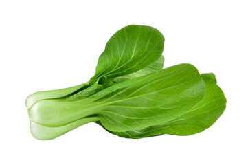 Wall Mural - Bok choy vegetable on white background